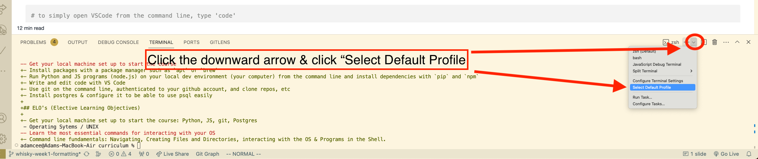 VS-Code-Select-Default-Terminal